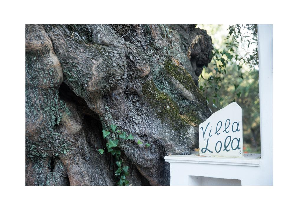 Villa Lola Lithakia  Esterno foto